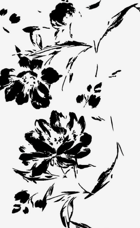 Sueno.LA inspiration image 03