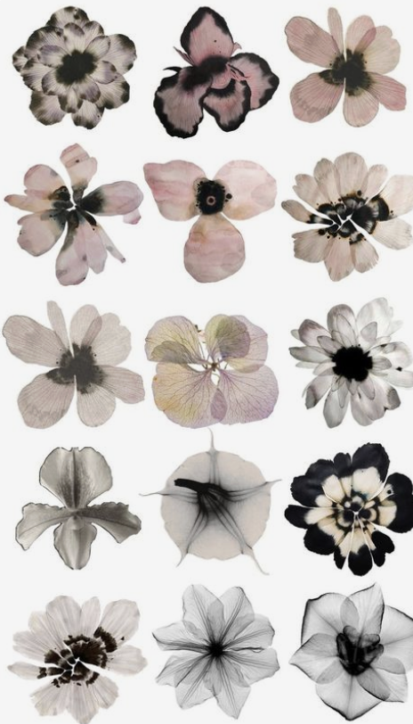 Sueno.LA inspiration image 10
