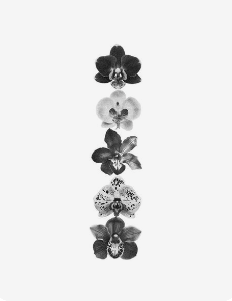 Sueno.LA inspiration image 11